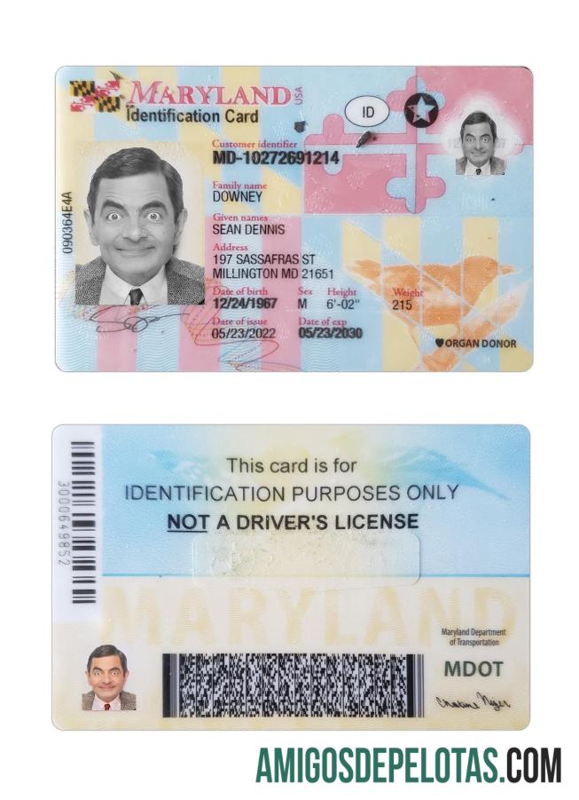 Modelo de cartão de identificação dos EUA Maryland